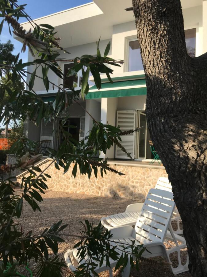 Apartment Mare Brodarica (Sibenik-Knin)
