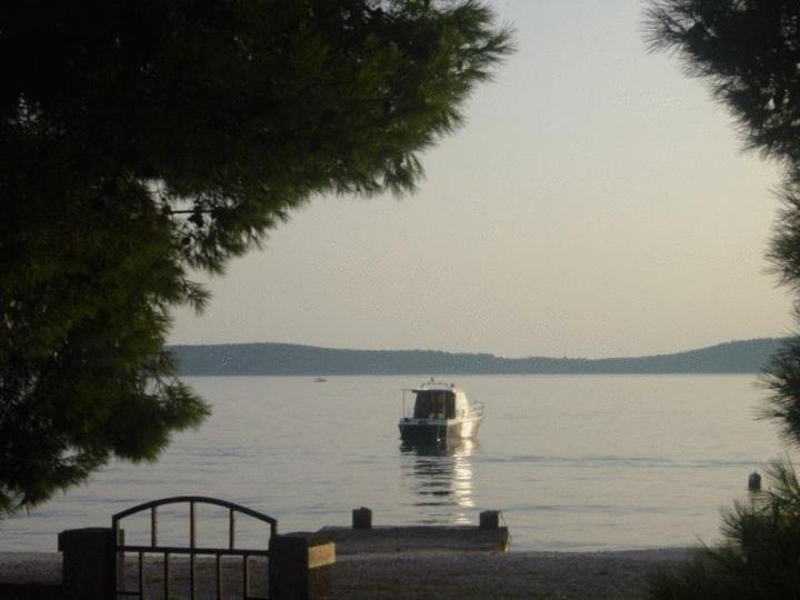 Mare *