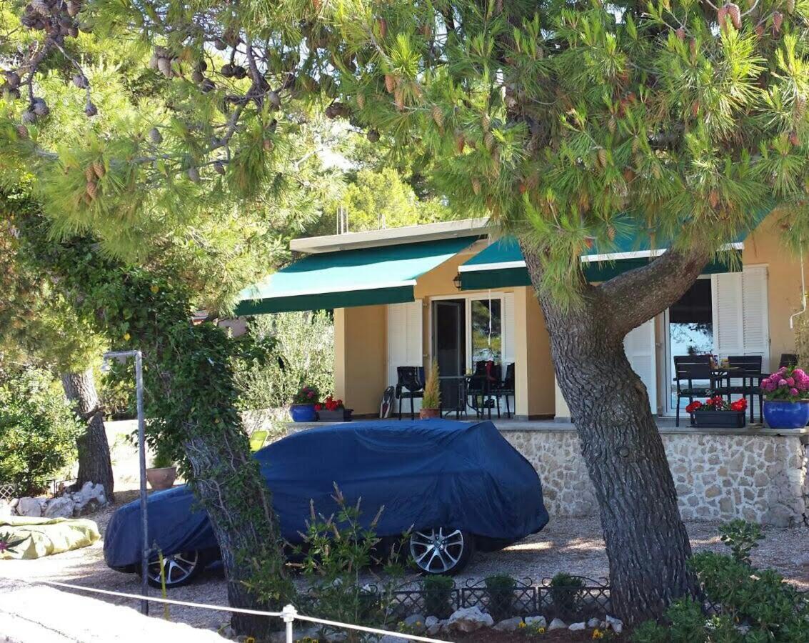Apartment Mare Brodarica (Sibenik-Knin)